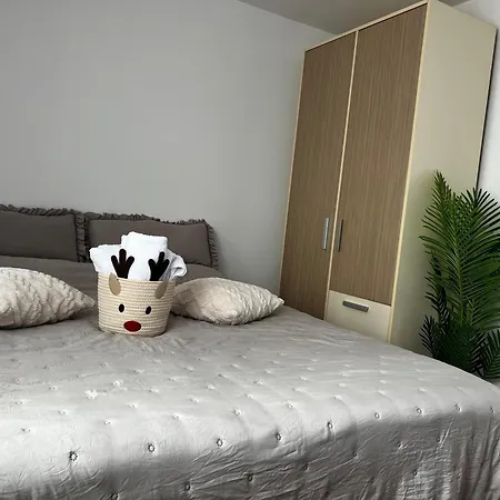 アパート Mitrovic- Zlatiborski Andjeo *