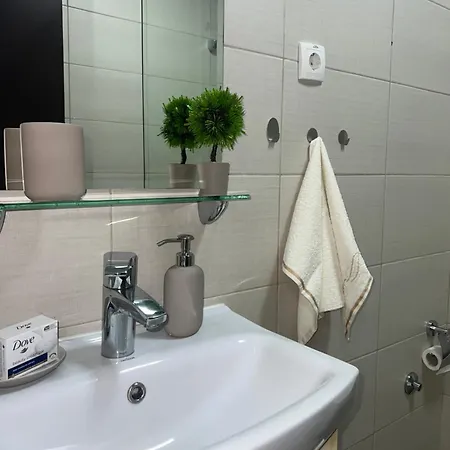 アパート Mitrovic- Zlatiborski Andjeo *