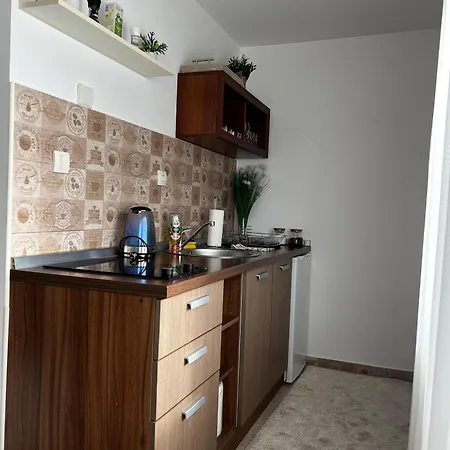 Mitrovic- Zlatiborski Andjeo アパート *