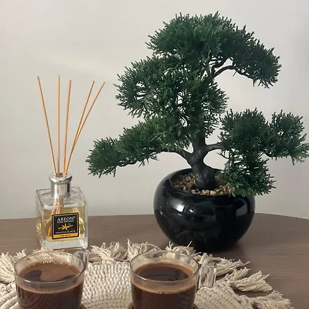 Mitrovic- Zlatiborski Andjeo