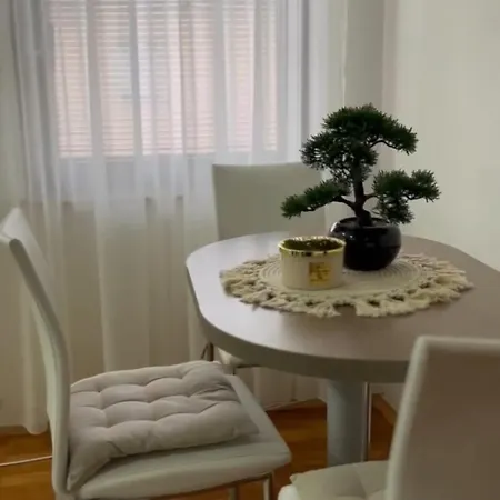 Mitrovic- Zlatiborski Andjeo ズラティボール