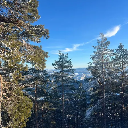 Mitrovic- Zlatiborski Andjeo * ズラティボール