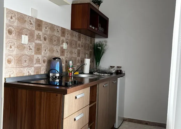 Mitrovic- Zlatiborski Andjeo 아파트 *