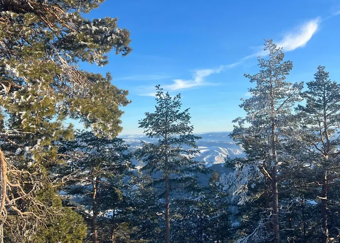 Mitrovic- Zlatiborski Andjeo * 즐라티보